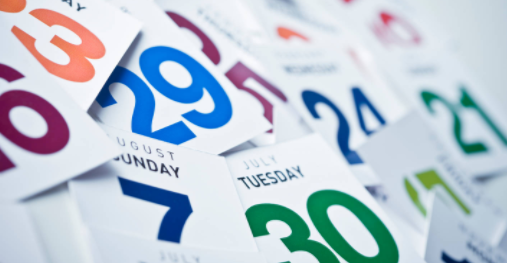 Doctor Diary Calendar